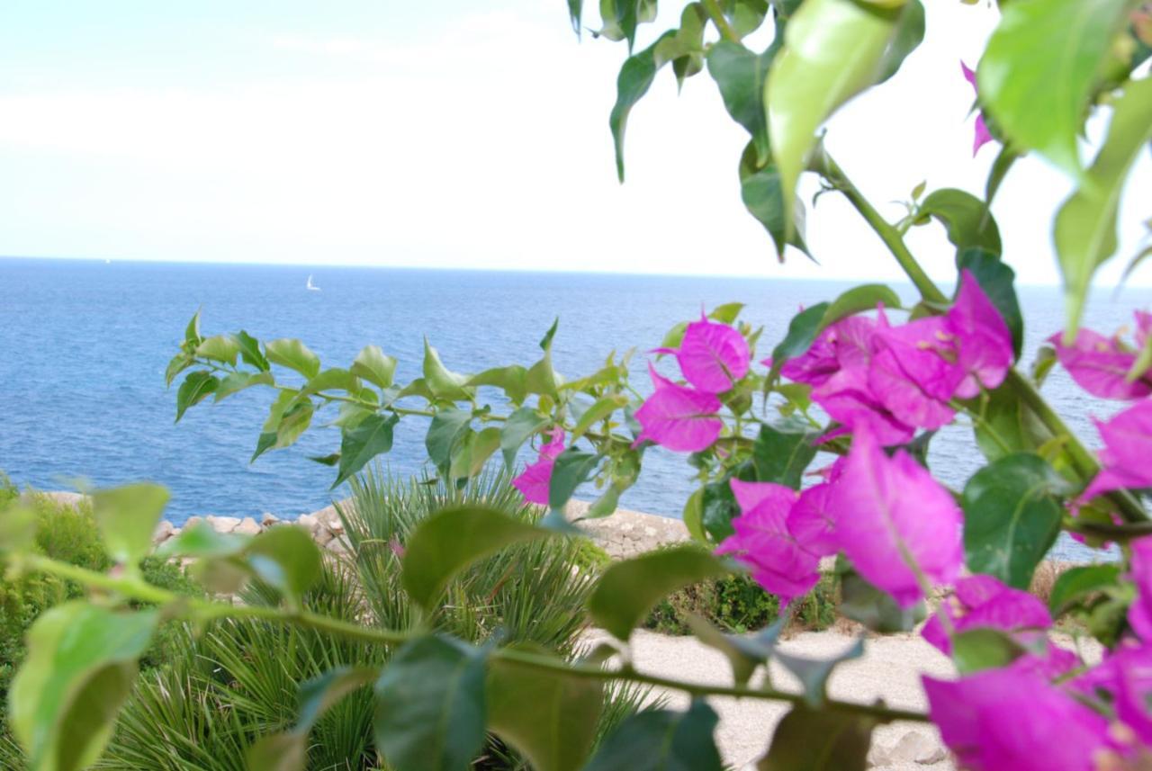 Apartmán Residencial Playa Mar Cala Mandia  Exteriér fotografie